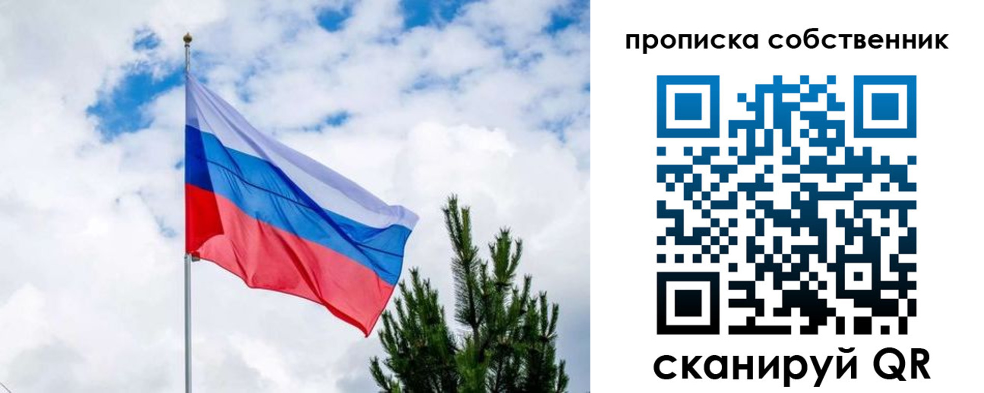 временная регистрация 2025 в Выборге